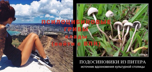 a pvp Абинск